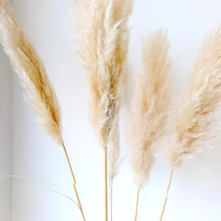 3-zimmer, 70 Qm 3 Minuten Zum Und Zentrum Whg Timme 3 Appartement *